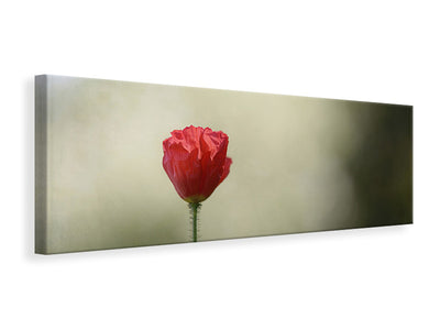 panoramic-canvas-print-red-poppy