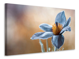 5-piece-canvas-print-pasque