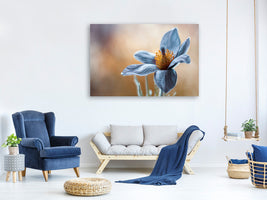 3-piece-canvas-print-pasque