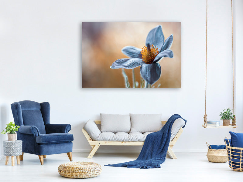 modern-3-piece-canvas-print-pasque