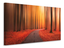 3-piece-canvas-print-path-to-unknown