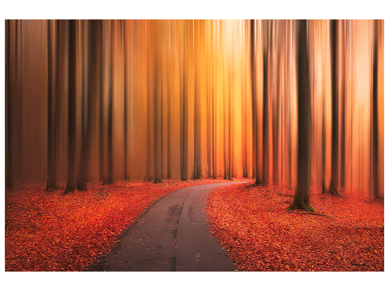 panoramic-3-piece-canvas-print-path-to-unknown