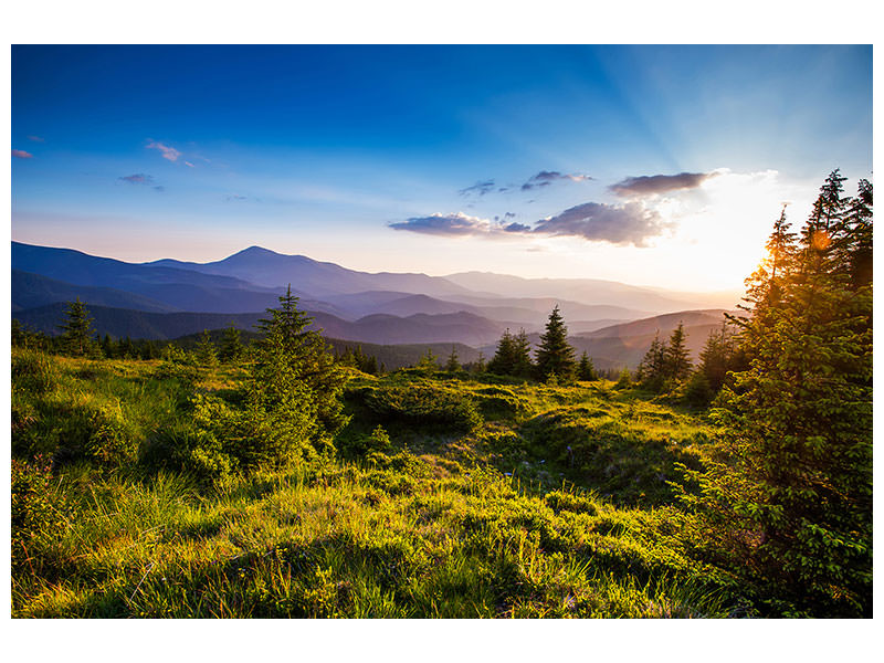 5-piece-canvas-print-peaceful-landscape