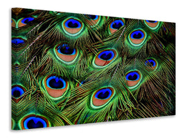 4-piece-canvas-print-peacock-feathers-xxl
