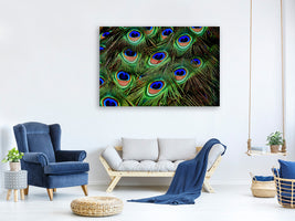 5-piece-canvas-print-peacock-feathers-xxl