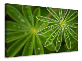 3-piece-canvas-print-pearly-lupine