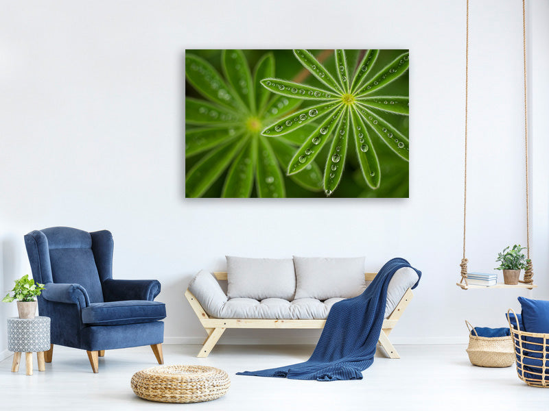 4-piece-canvas-print-pearly-lupine