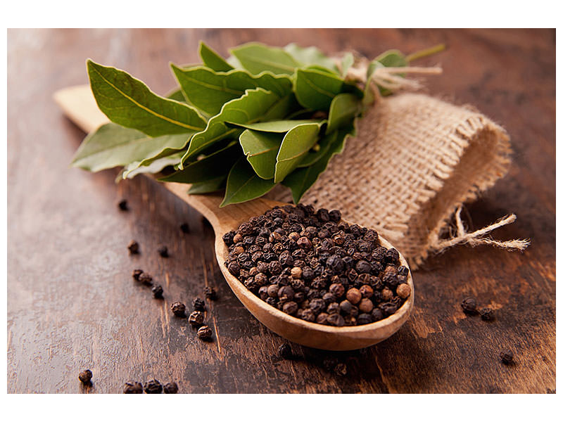 modern-4-piece-canvas-print-pepper-spoon