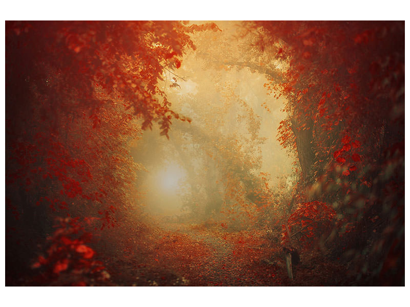 4-piece-canvas-print-personal-journey