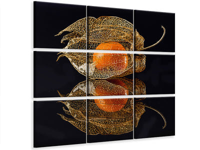 canvas-print-physalis
