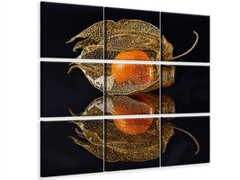 4-piece-canvas-print-physalis