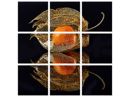 4-piece-canvas-print-physalis