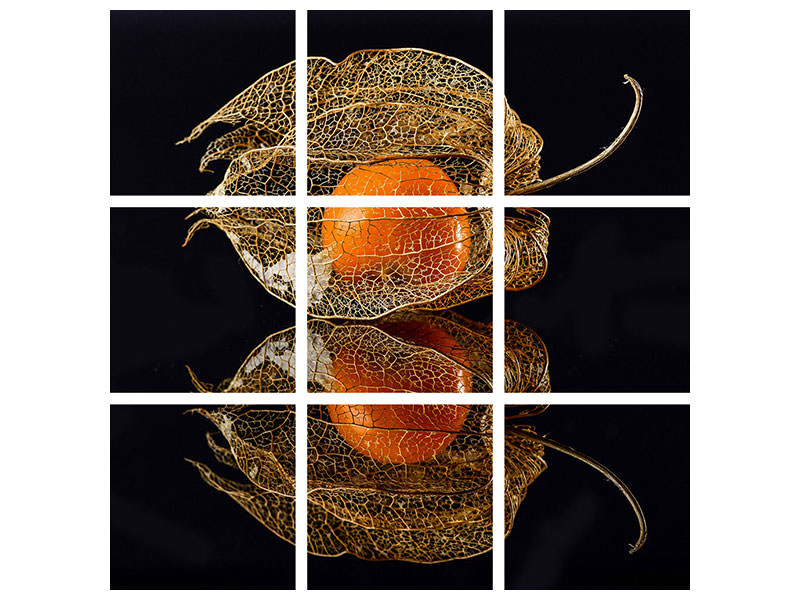 4-piece-canvas-print-physalis