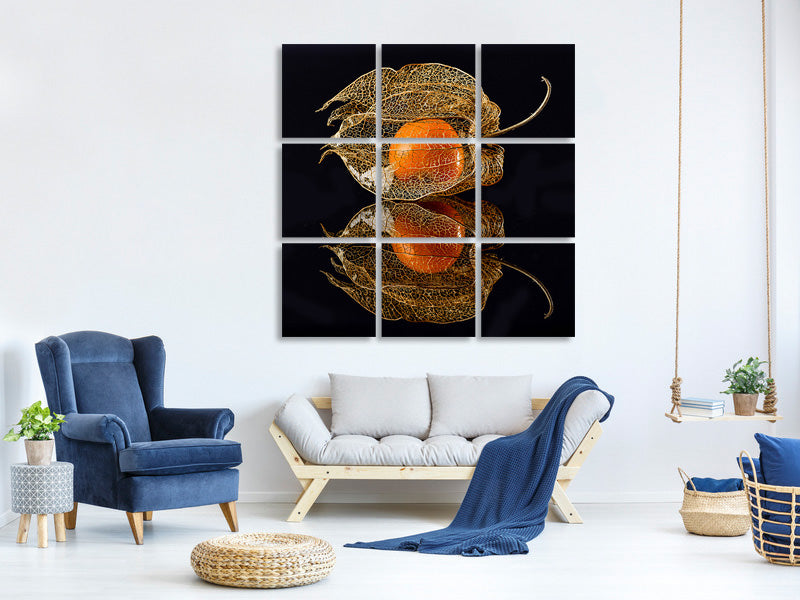 4-piece-canvas-print-physalis