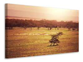 4-piece-canvas-print-picturesque-africa
