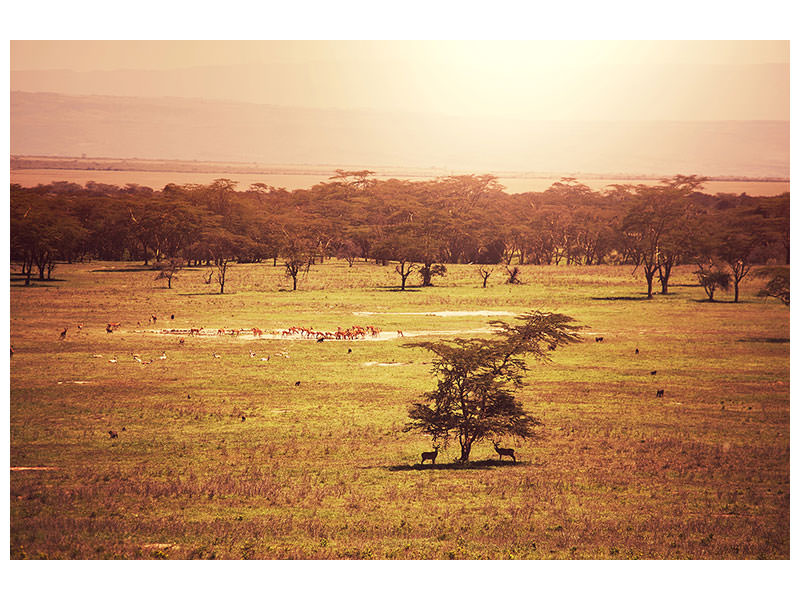 5-piece-canvas-print-picturesque-africa