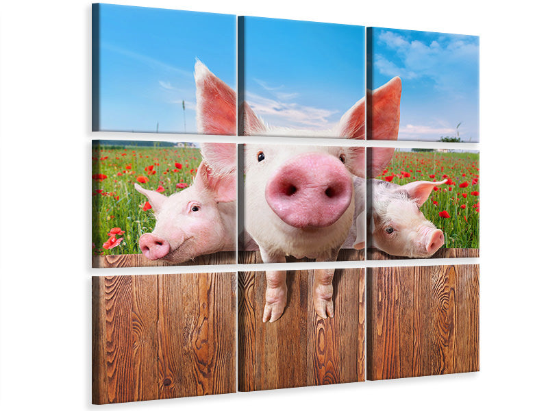 canvas-print-pig-in-luck