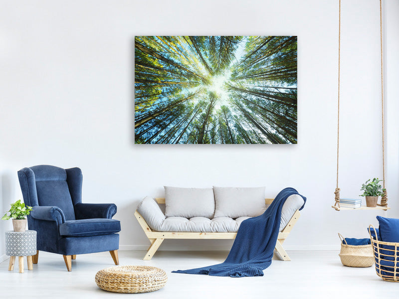 3-piece-canvas-print-pine-forest