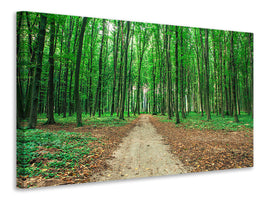 5-piece-canvas-print-pine-forests