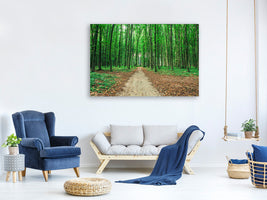 panoramic-canvas-print-pine-forests