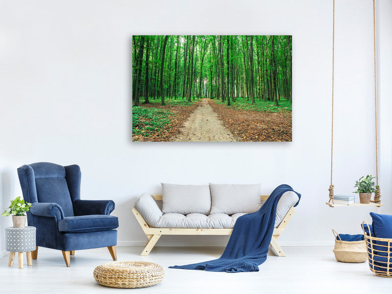 5-piece-canvas-print-pine-forests