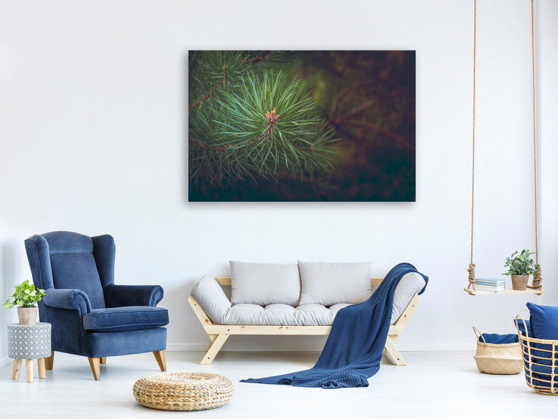 modern-3-piece-canvas-print-pine-tree-close-up