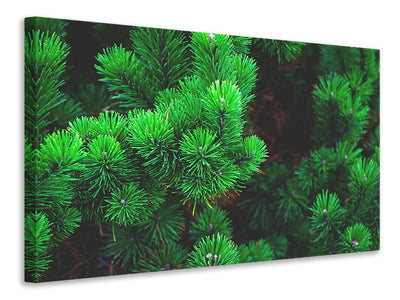 modern-3-piece-canvas-print-pine-xl
