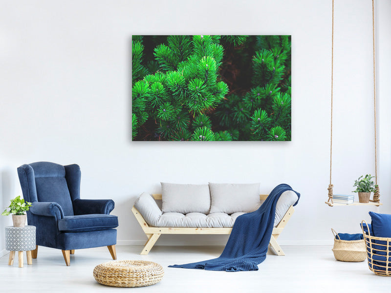 modern-4-piece-canvas-print-pine-xl