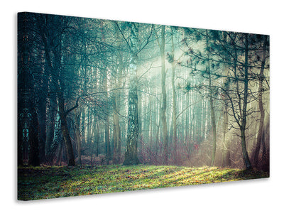 modern-3-piece-canvas-print-pinewood