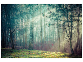 panoramic-3-piece-canvas-print-pinewood
