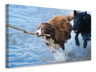 3-piece-canvas-print-playing-dogs