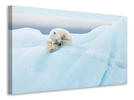 4-piece-canvas-print-polar-bear-grooming