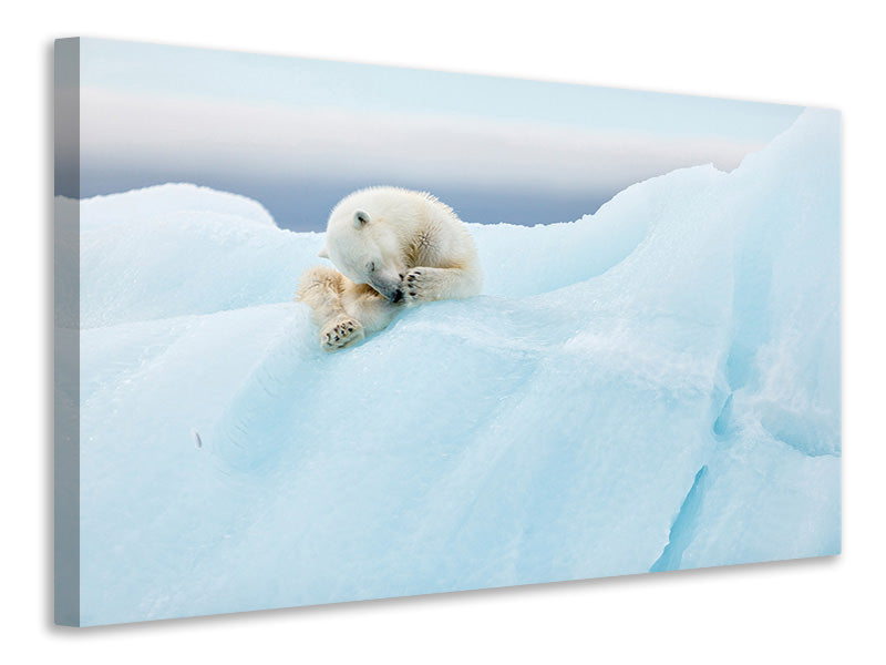 modern-4-piece-canvas-print-polar-bear-grooming