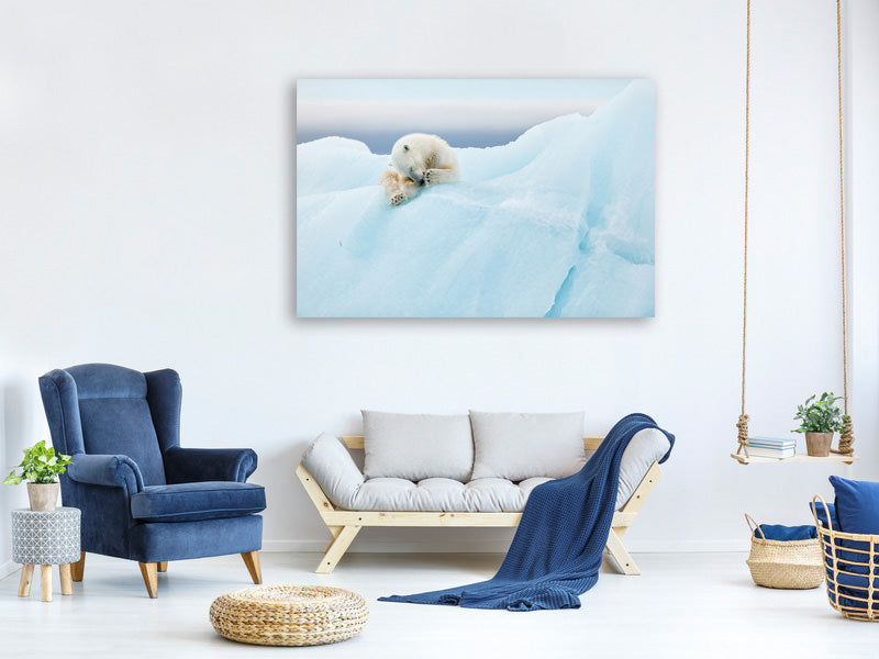 4-piece-canvas-print-polar-bear-grooming