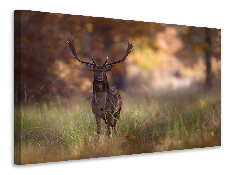 3-piece-canvas-print-posing