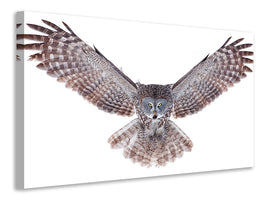 modern-3-piece-canvas-print-power-great-grey-owl