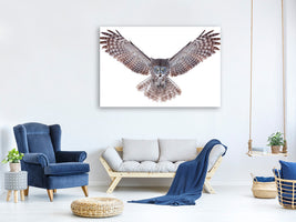 5-piece-canvas-print-power-great-grey-owl