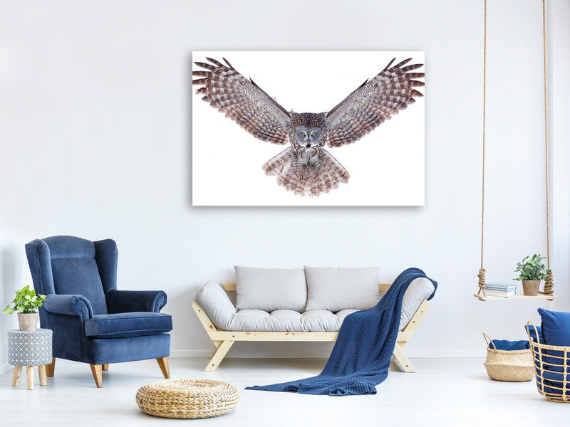 3-piece-canvas-print-power-great-grey-owl