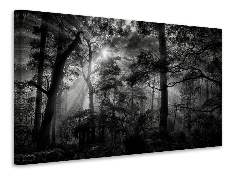 3-piece-canvas-print-primary-forest