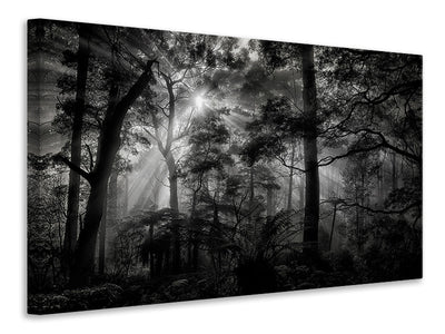3-piece-canvas-print-primary-forest