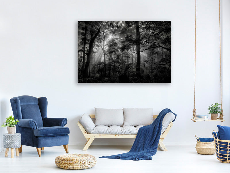 3-piece-canvas-print-primary-forest