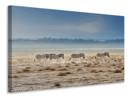 panoramic-canvas-print-promenade