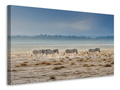panoramic-canvas-print-promenade