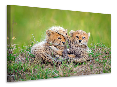 panoramic-3-piece-canvas-print-promising