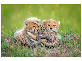 3-piece-canvas-print-promising