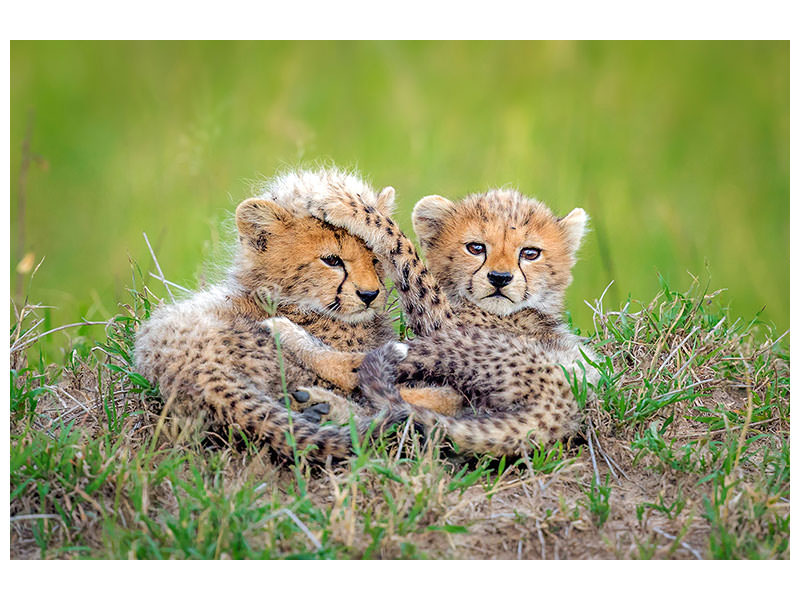 3-piece-canvas-print-promising