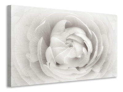 3-piece-canvas-print-ranunculus