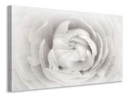 modern-3-piece-canvas-print-ranunculus