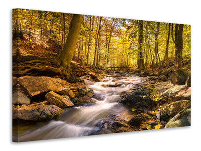 3-piece-canvas-print-real-nature-beauty