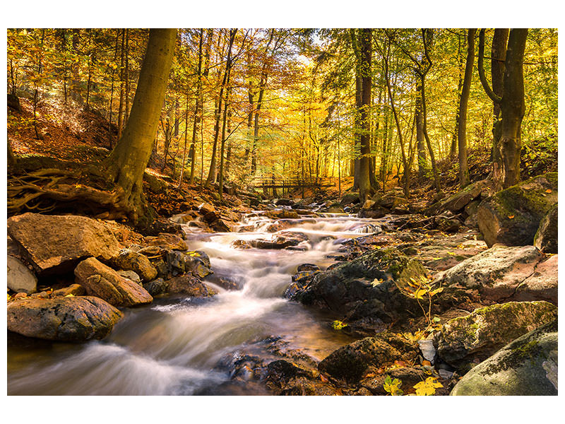 modern-4-piece-canvas-print-real-nature-beauty